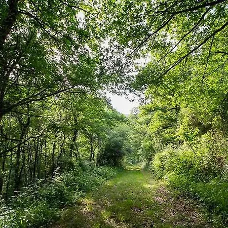 Charming House Overlooking Aveyron Valley * Monteils (Aveyron)