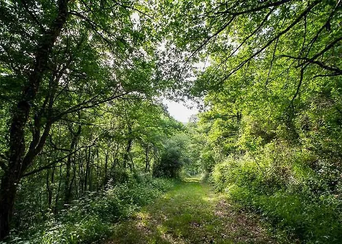 Charming House Overlooking Aveyron Valley بيت للعطل